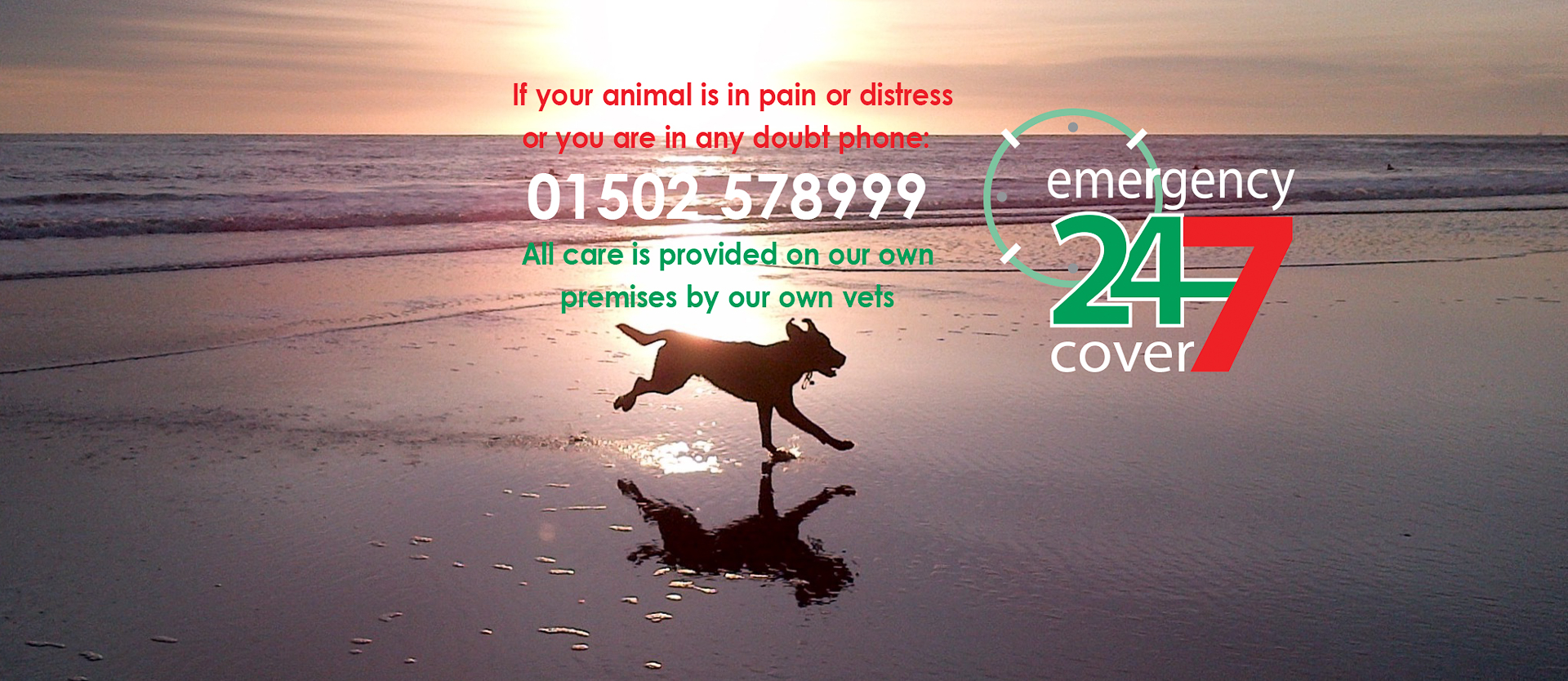 Wangford Veterinary Clinic